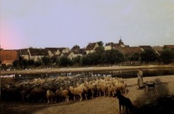 Dorfansicht von der Unstrut aus